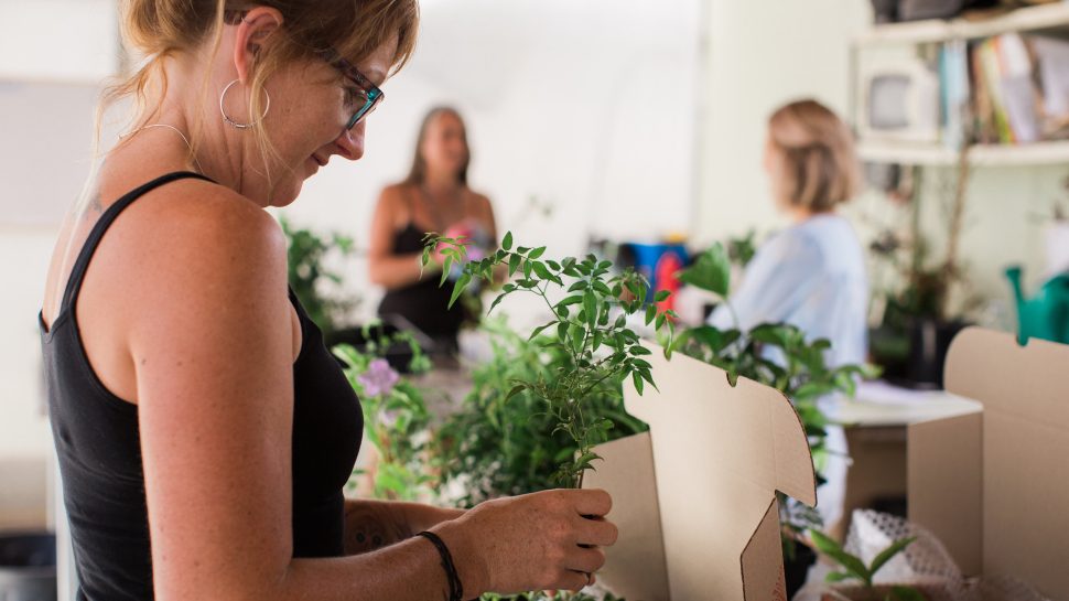 Nursery garden employees packaging customer orders. 