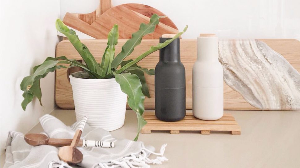 Stylised image of wooden items (pallet, chopping board, spoons) next to a plant.